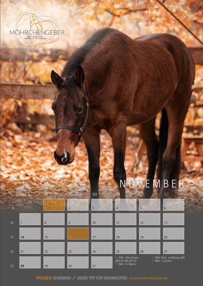moehrchengeber Kalender-pferde in not
