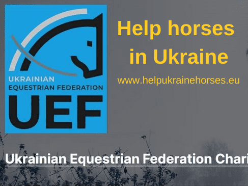pferde retten - ukraine help