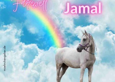 Jamal | Araber