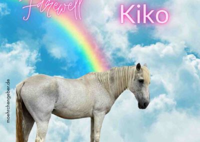Kiko | PRE-Mix