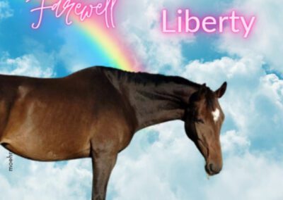 Liberty | Warmblut