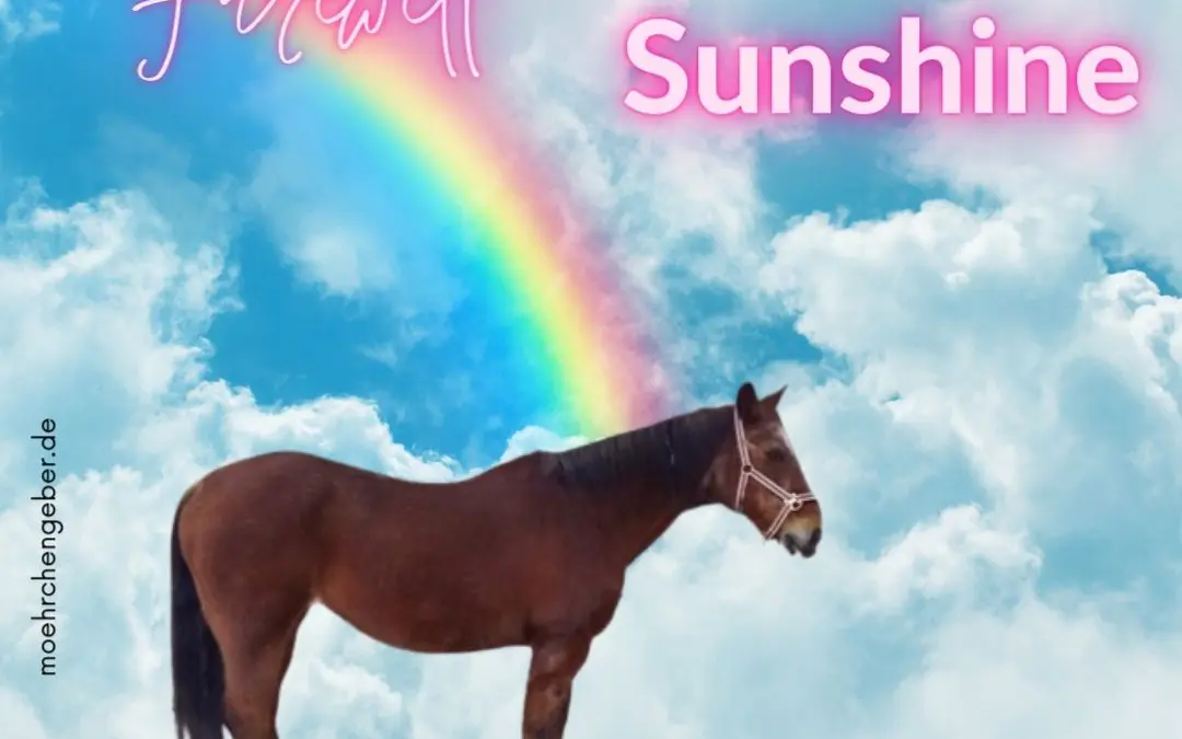 Sunshine | Quarter Horse