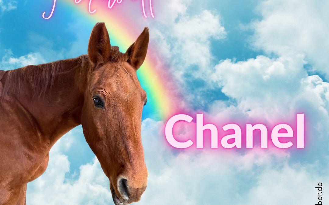 Chanel | Sachsen-Anhaltiner