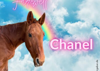 Chanel | Sachsen-Anhaltiner