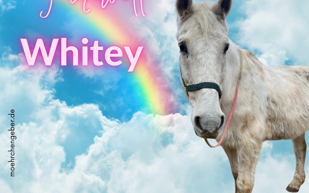 Whitey | Hannoveraner