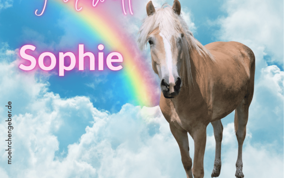 Sophie | Haflinger