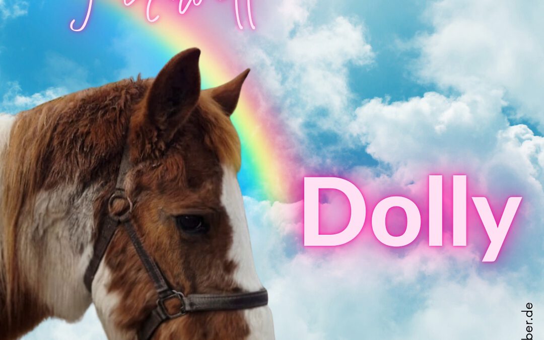 Dolly | Paint Horse