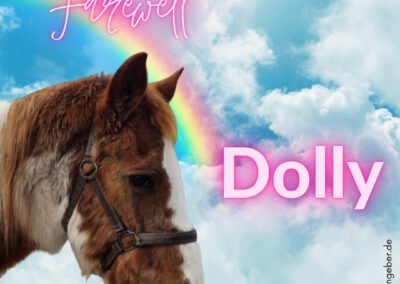 Dolly | Paint Horse