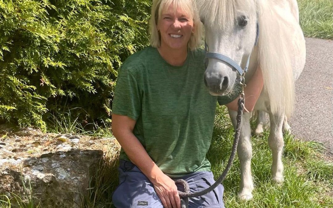 Nero | Shetland Pony