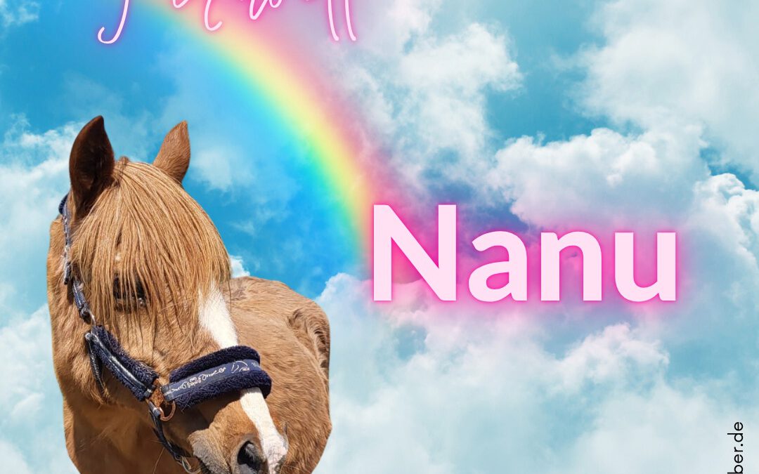 Nanuschka | Pony-Mix