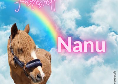 Nanuschka | Pony-Mix