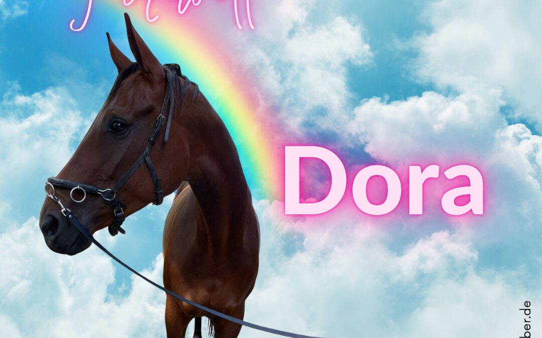 Dora | Hannoveraner