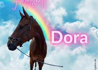 Dora | Hannoveraner