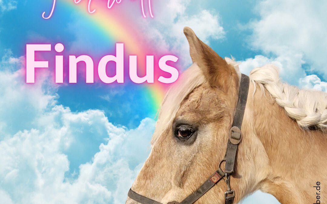 Findus | Haflinger