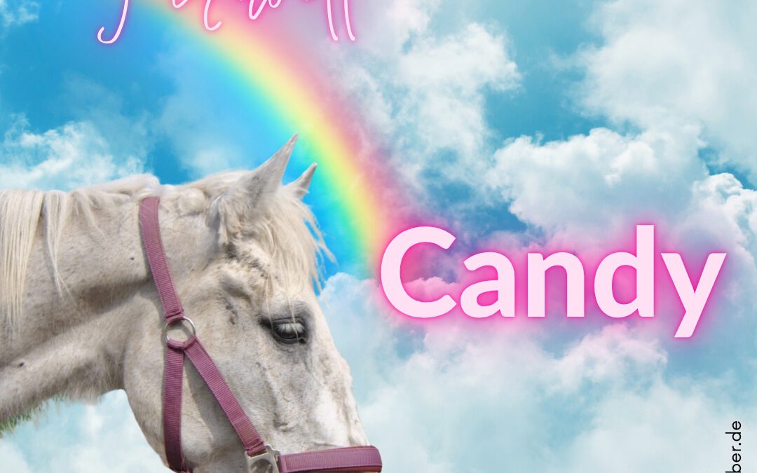 Candy