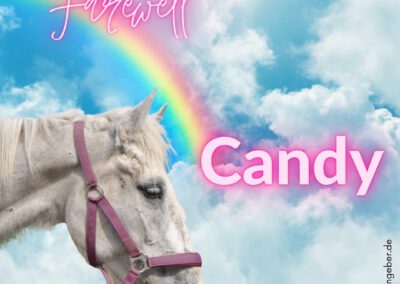 Candy