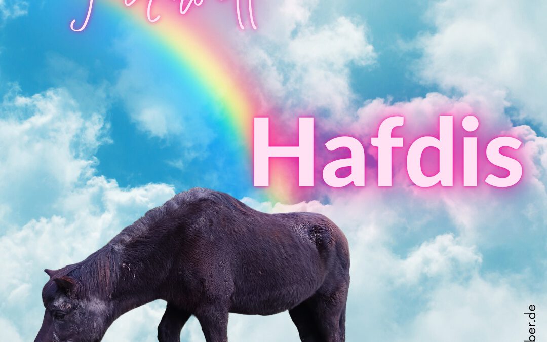 Hafdis | Islandpferd